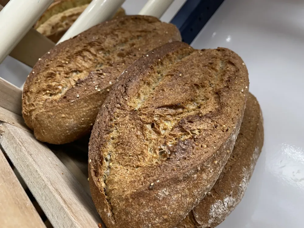 pains et viennoiseries (3)