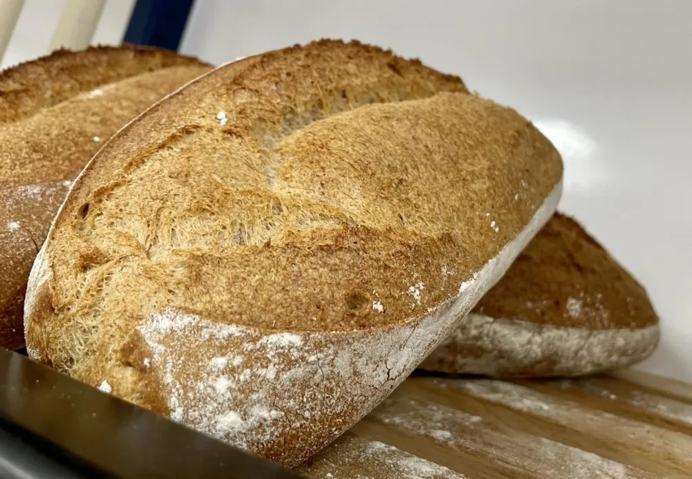 pains et viennoiseries (6)